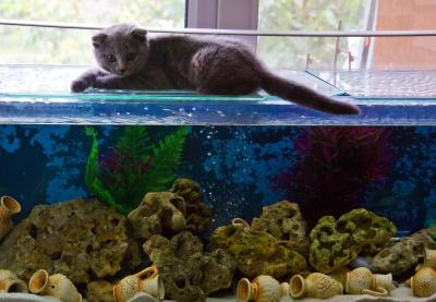 Прикрепленное изображение: IMG_7513.jpg